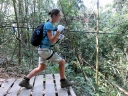 gibbon (15)